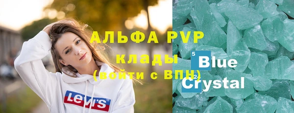 мет Алексин