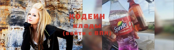 мет Алексин