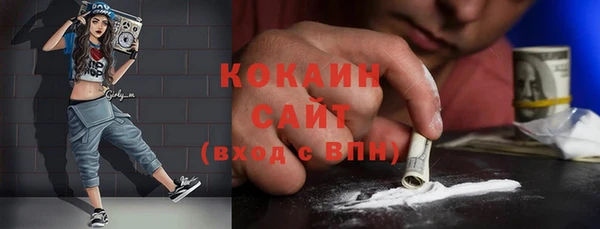 мет Алексин