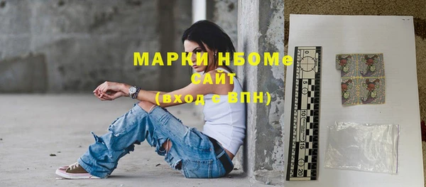 мет Алексин