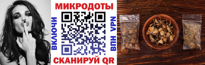 Галлюциногенные грибы Psilocybe  купить наркоту  Конаково 