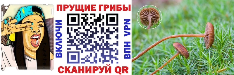 Псилоцибиновые грибы GOLDEN TEACHER Конаково