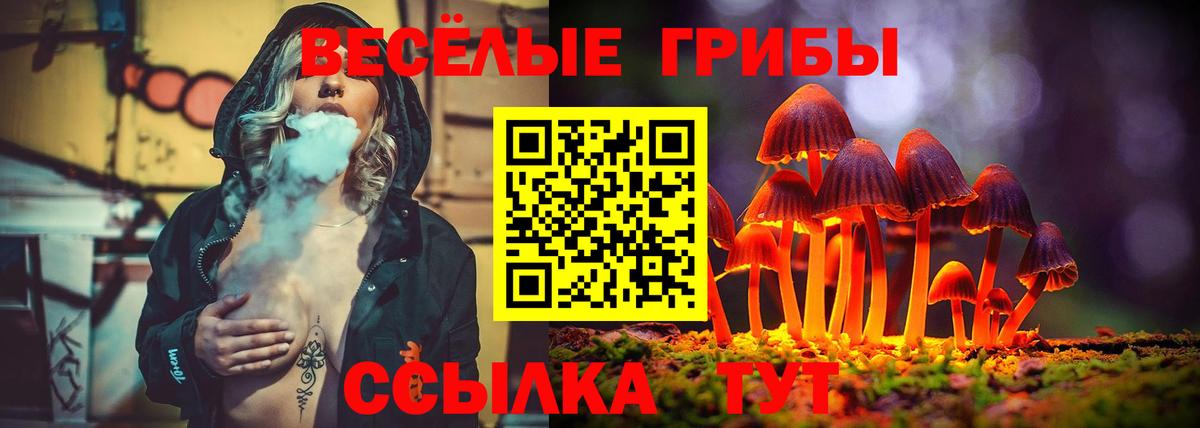 Галлюциногенные грибы Cubensis Конаково